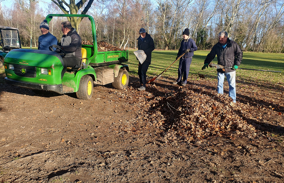 Leaf collection Volunteers